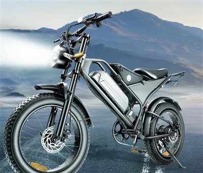 Покончите с этими разочарованиями в отношении Ebike сегодня